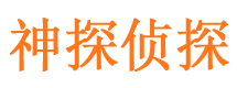 金台市调查公司